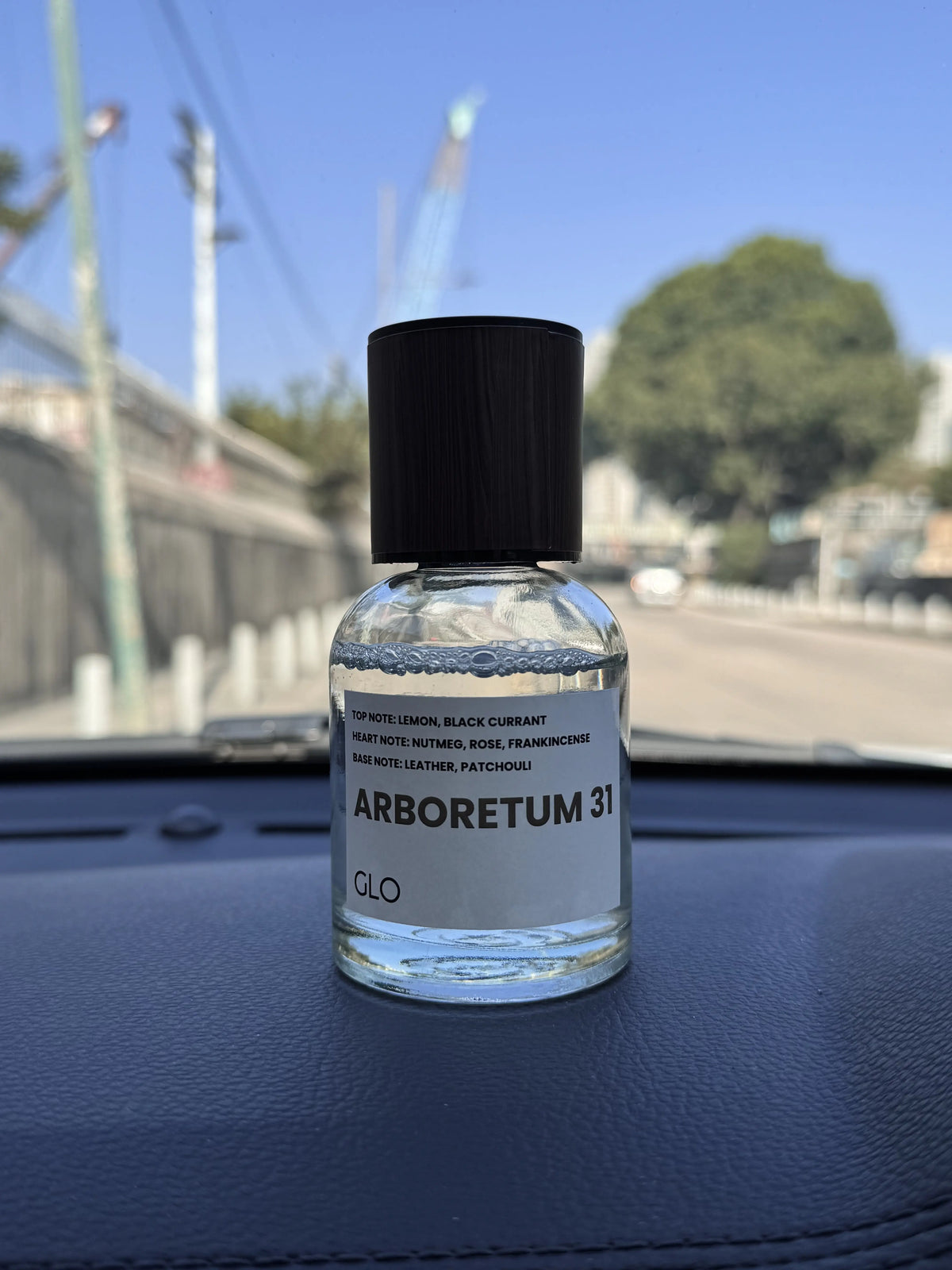 GLO 車用香薰 Arboretum 31 GLO