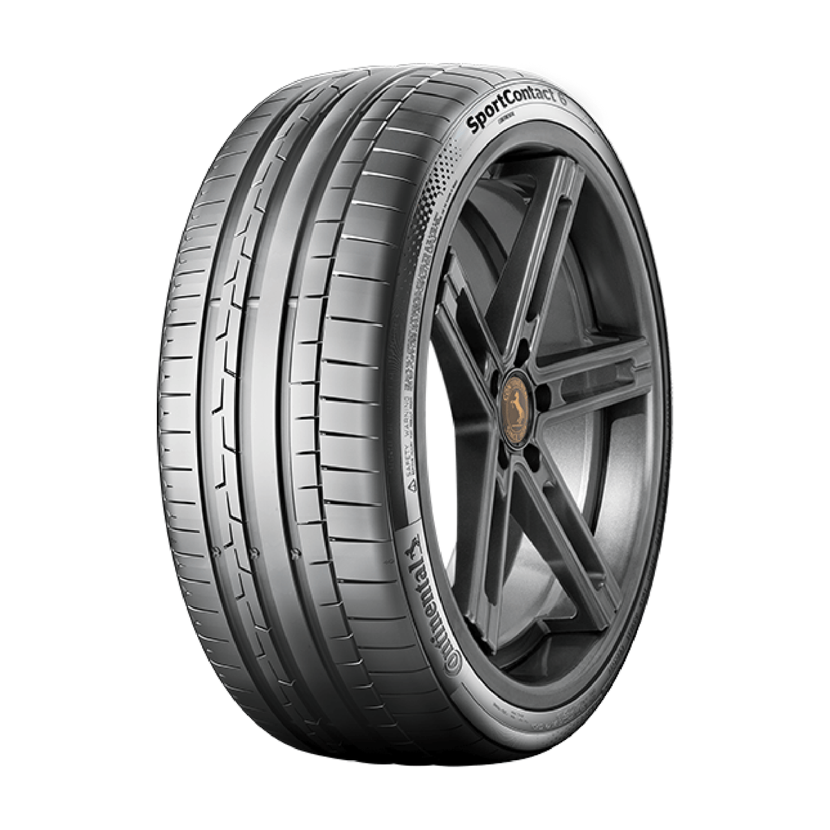SportContact™ 6 Continental